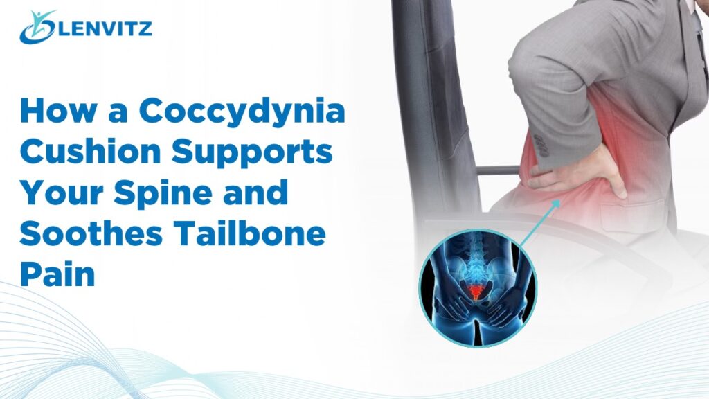 Coccydynia Cushion Supports Your Spine and Soothes Tailbone Pain